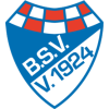 BrinkumerSV